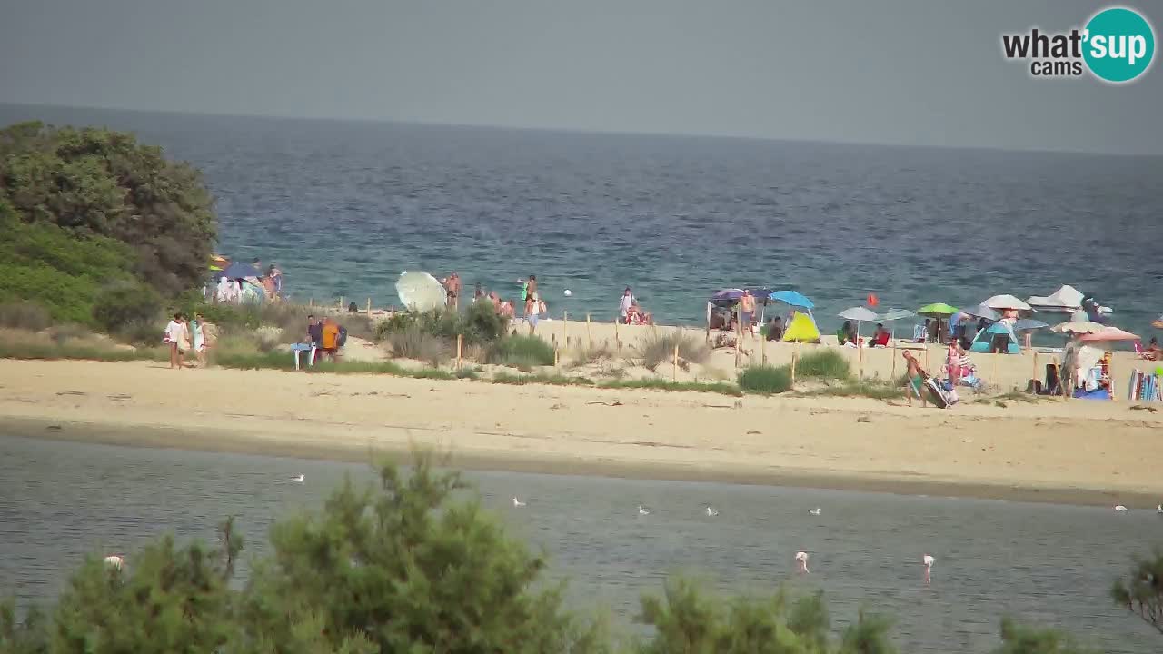 Webcam Chia – Live View of Su Giudeu Beach