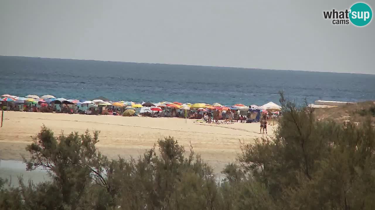 Webcam Chia – Liveblick auf den Strand Su Giudeu