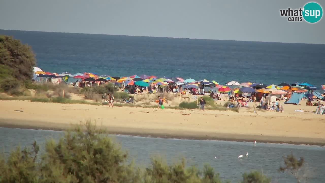 Spletna kamera Chia – Pogled v živo na plažo Su Giudeu