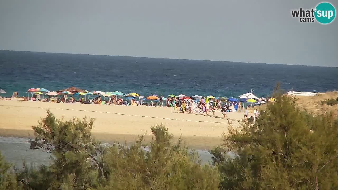 Webcam Chia – Live View of Su Giudeu Beach
