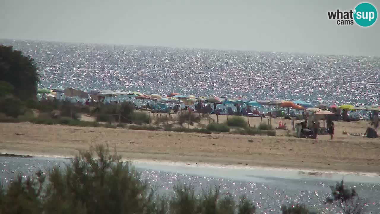Webcam Chia – Vue en direct de la plage Su Giudeu