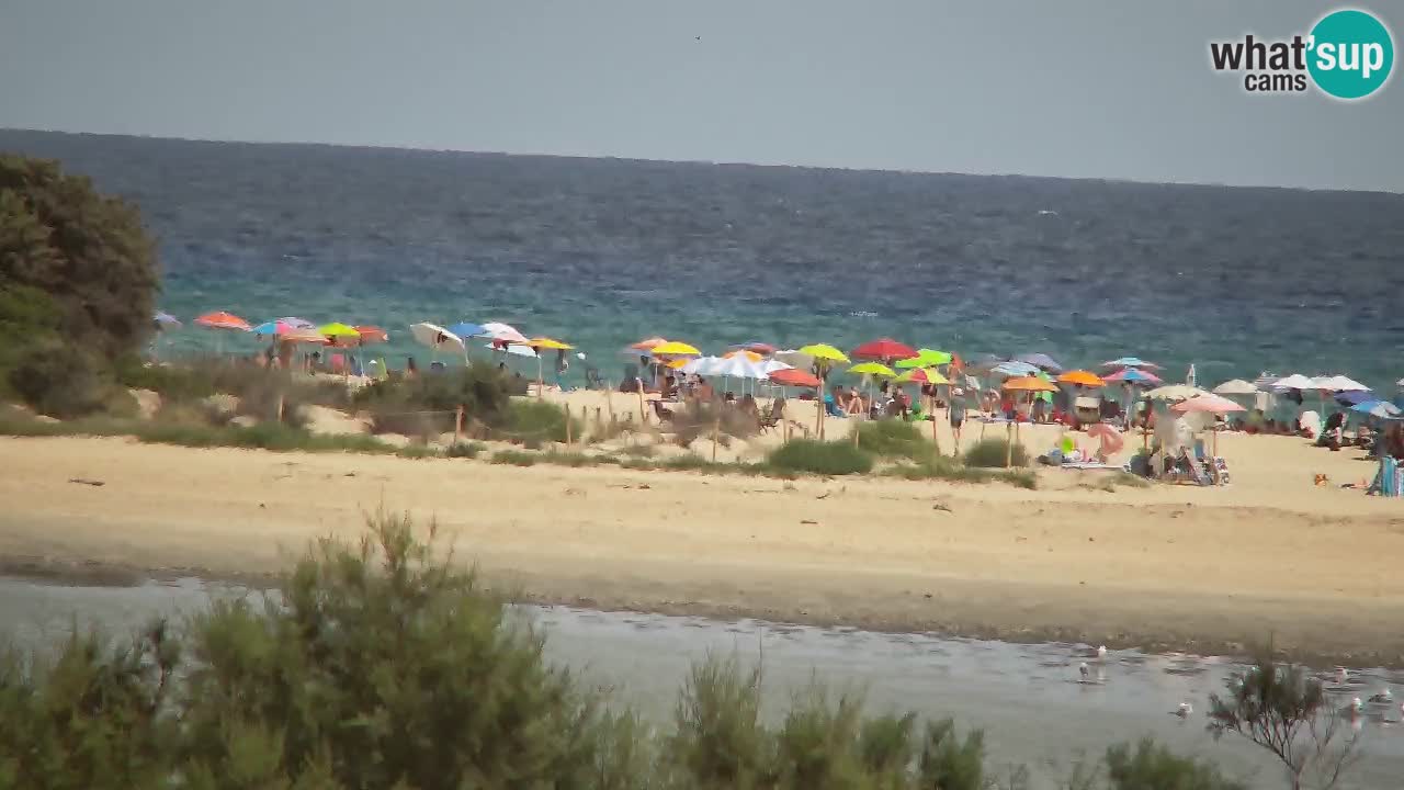 Webcam Chia – Liveblick auf den Strand Su Giudeu
