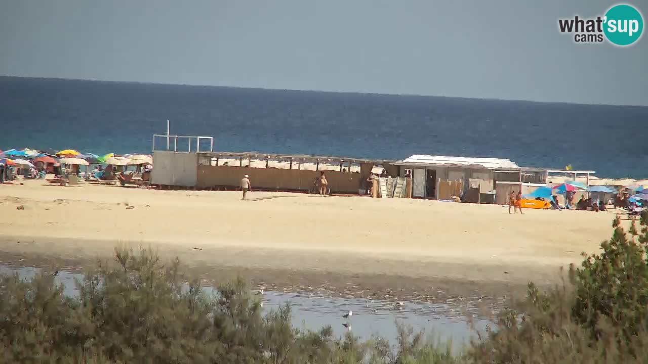 Webcam Chia – Live View of Su Giudeu Beach