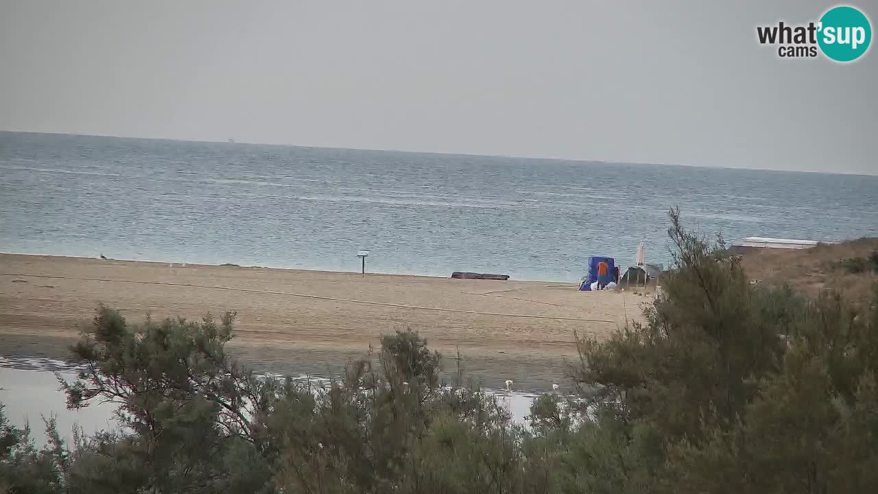 Webcam Chia – Liveblick auf den Strand Su Giudeu