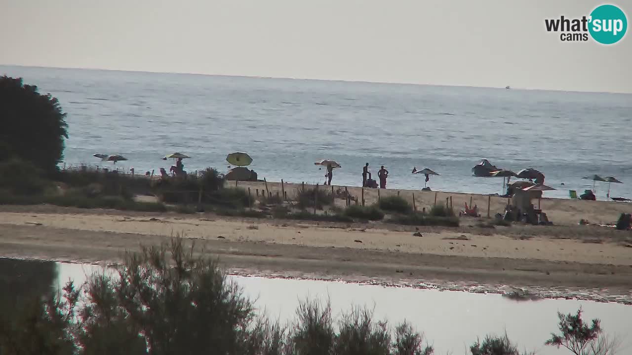 Webcam Chia – Live View of Su Giudeu Beach