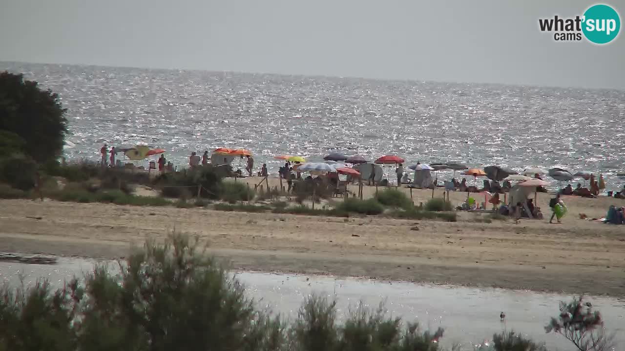 Webcam Chia – Live View of Su Giudeu Beach