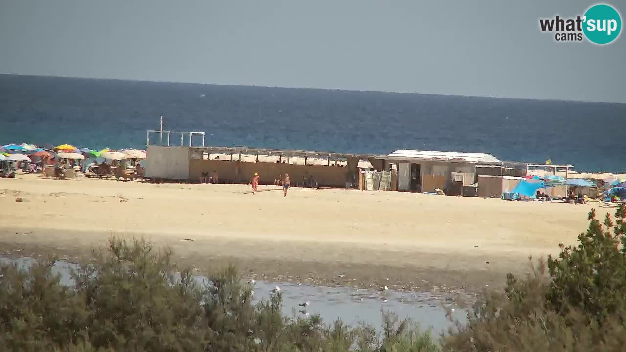 Webcam Chia – Live View of Su Giudeu Beach