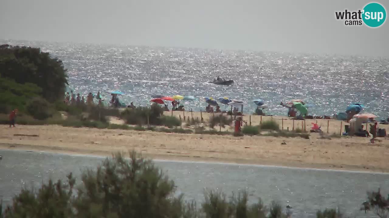 Webcam Chia – Liveblick auf den Strand Su Giudeu