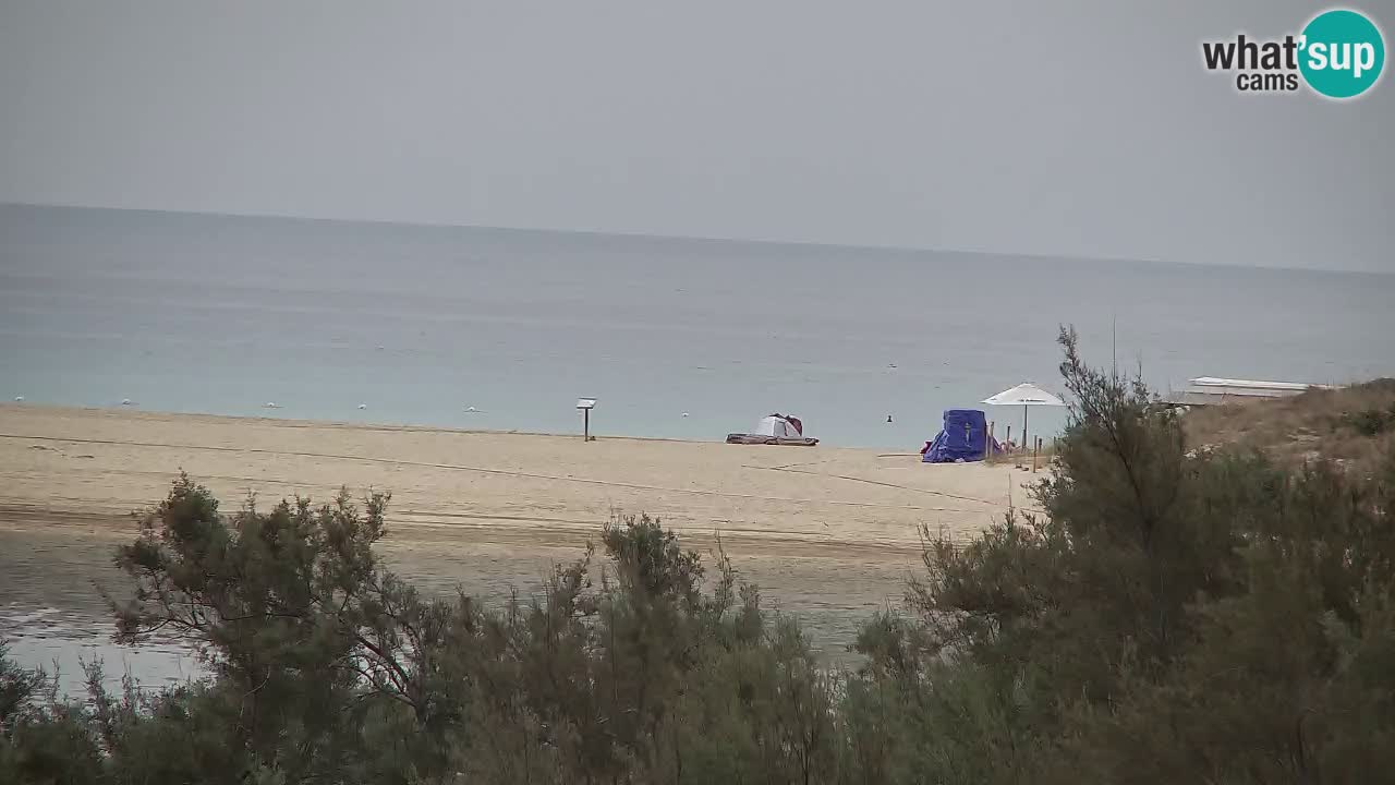 Webcam Chia – Live View of Su Giudeu Beach