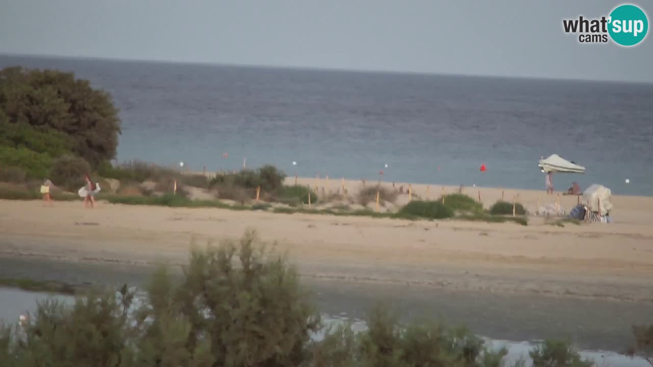 Webcam Chia – Live View of Su Giudeu Beach