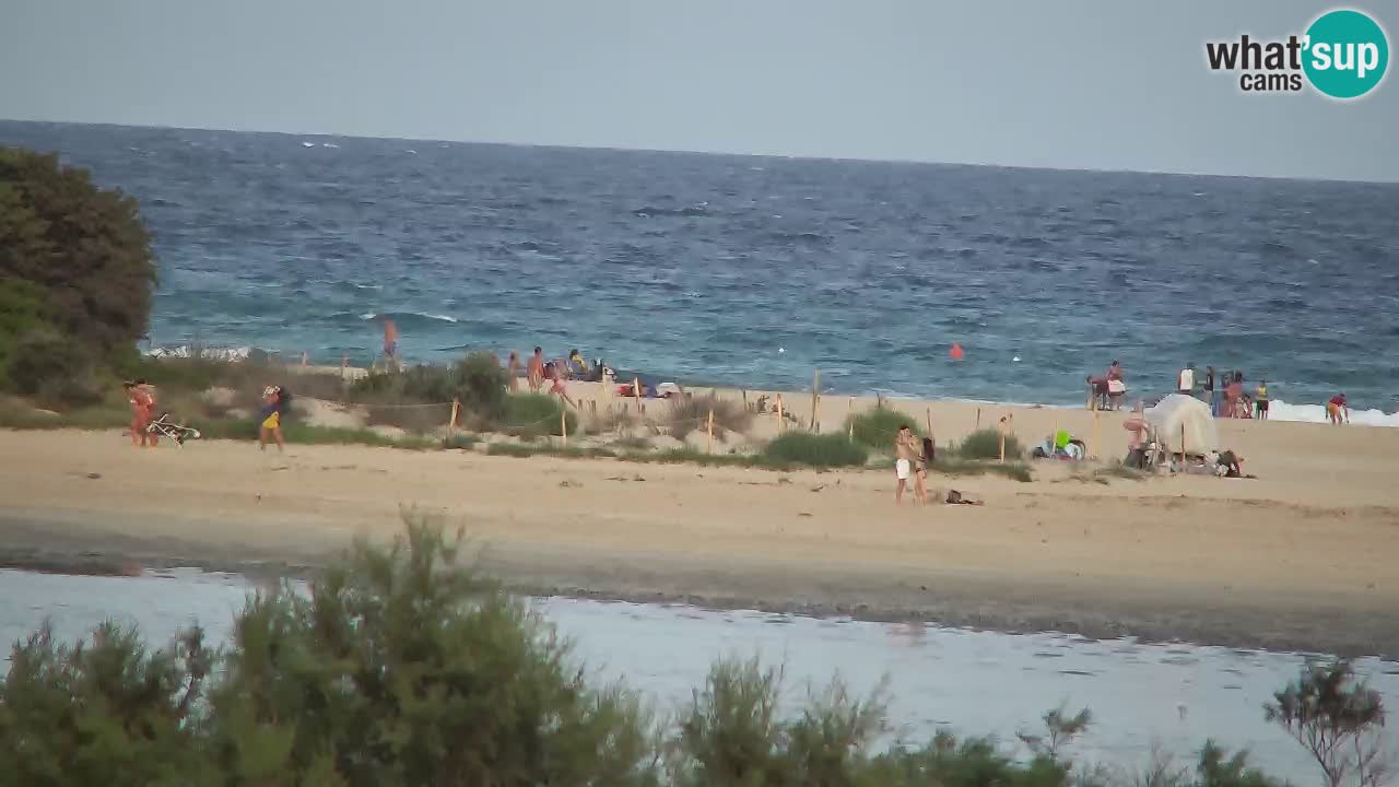 Webcam Chia – Liveblick auf den Strand Su Giudeu
