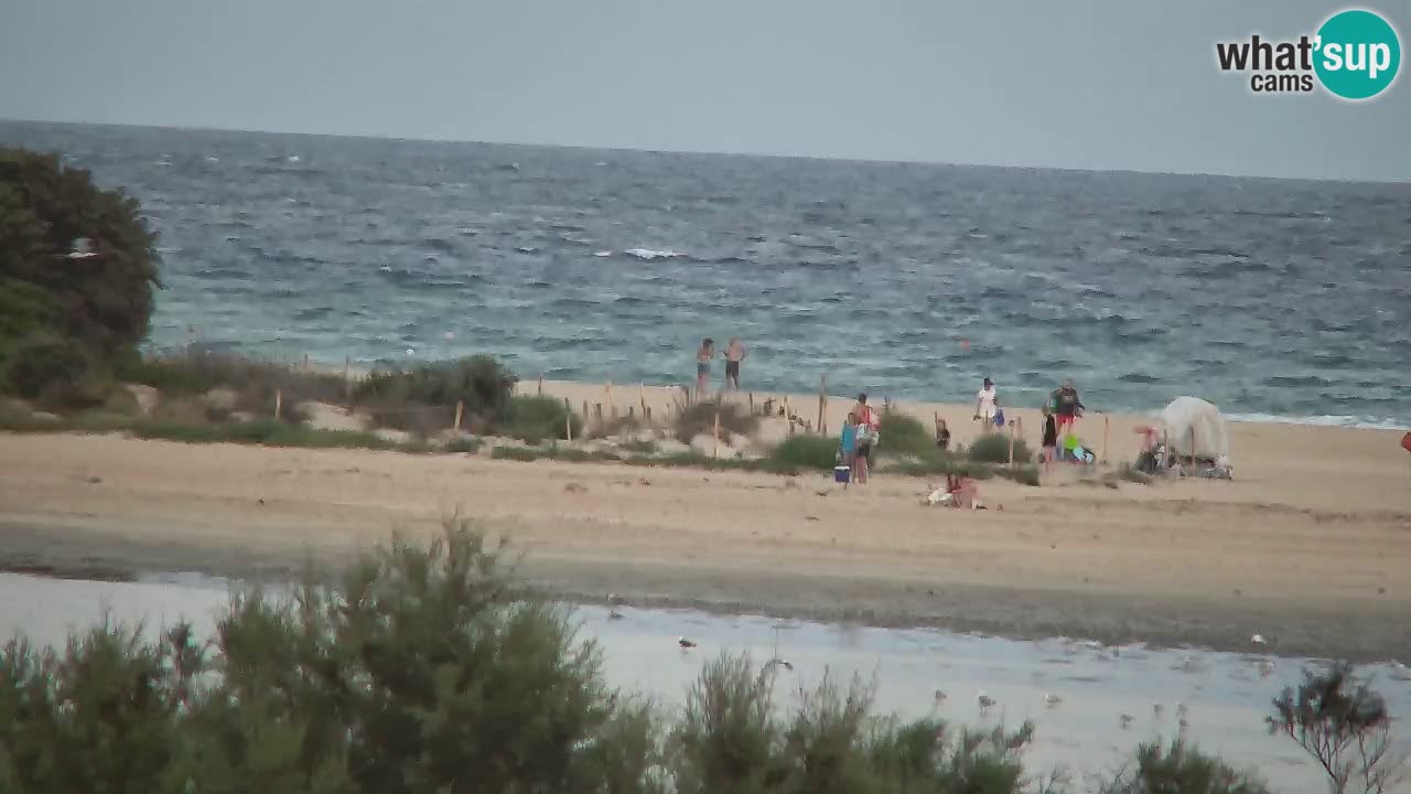 Webcam Chia – Vista en directo de la playa Su Giudeu