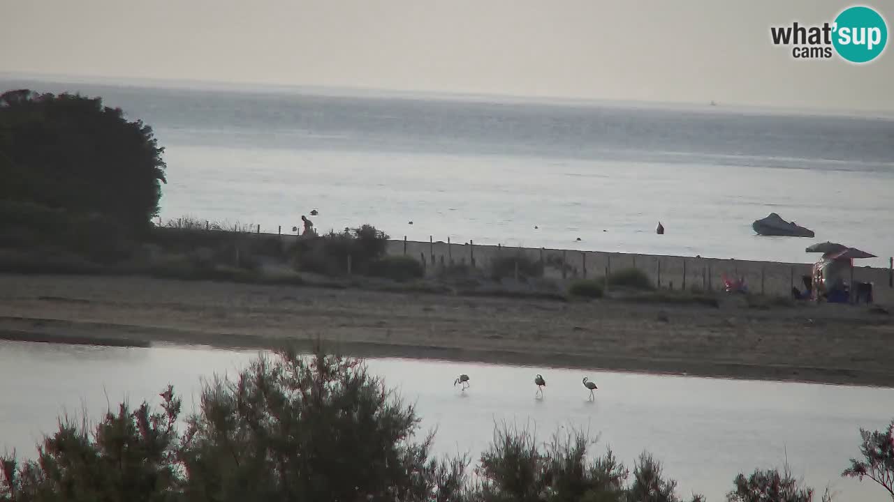 Webcam Chia – Vista en directo de la playa Su Giudeu