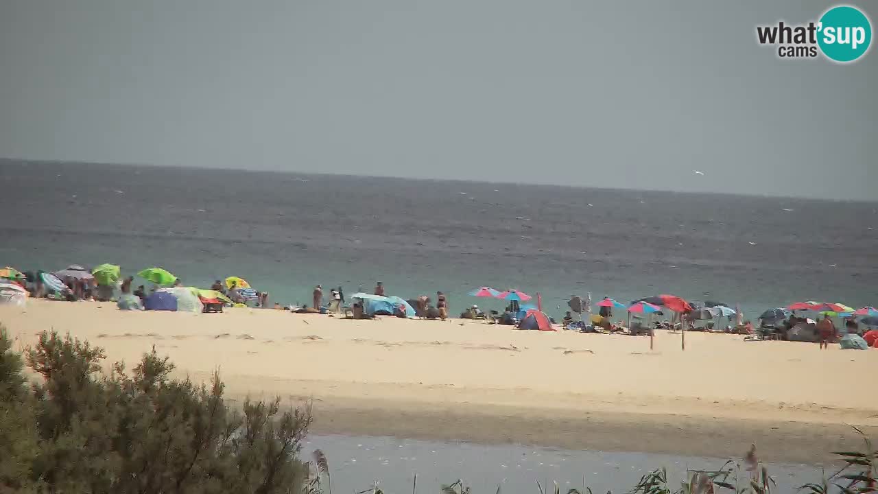 Webcam Chia – Liveblick auf den Strand Su Giudeu