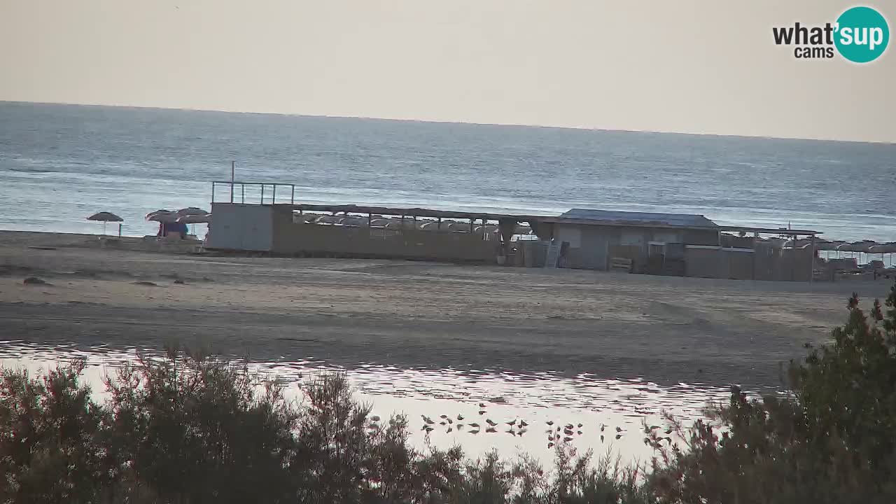 Webcam Chia – Liveblick auf den Strand Su Giudeu