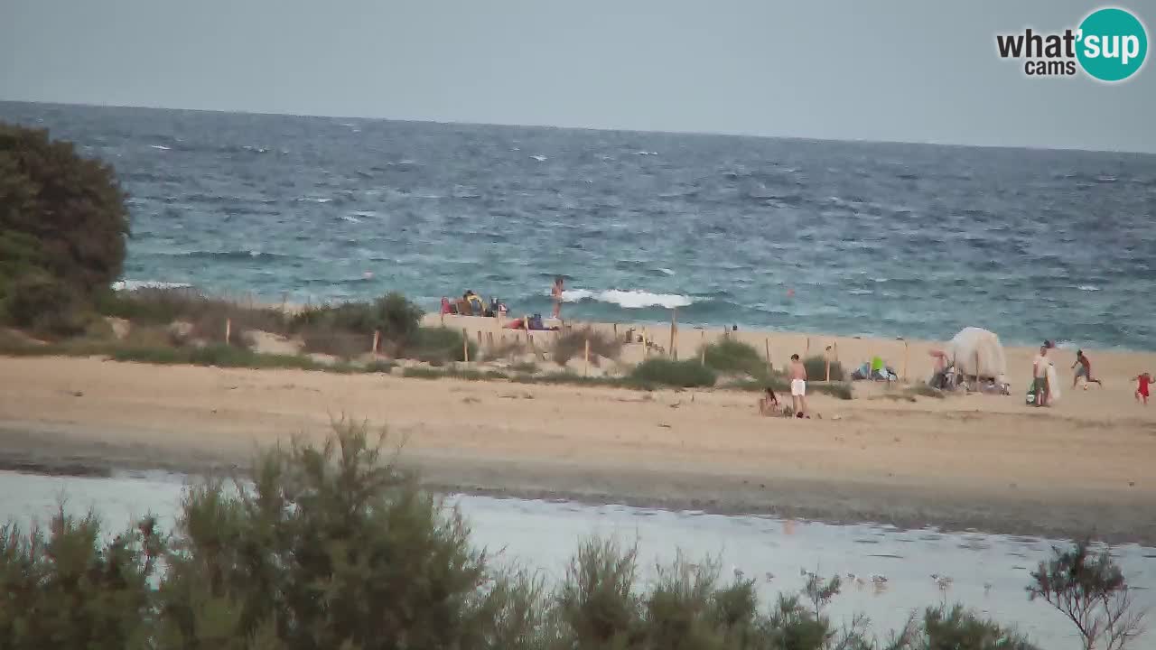 Webcam Chia – Live View of Su Giudeu Beach