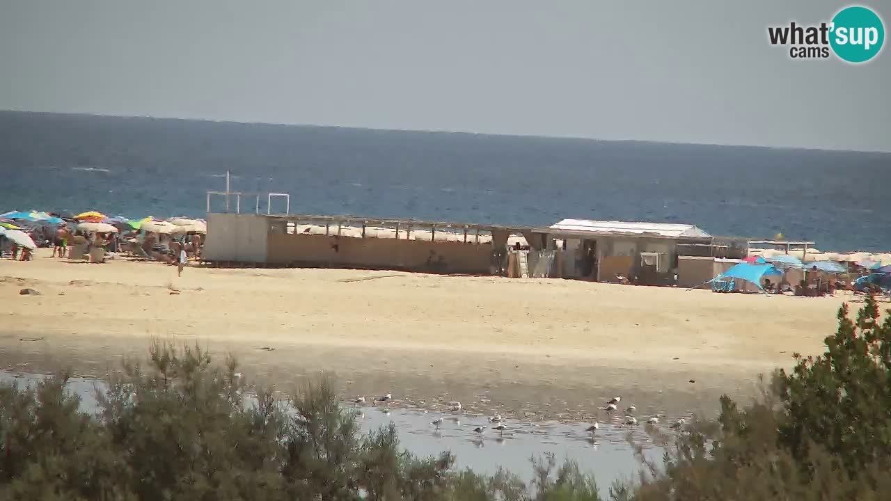 Webcam Chia – Liveblick auf den Strand Su Giudeu