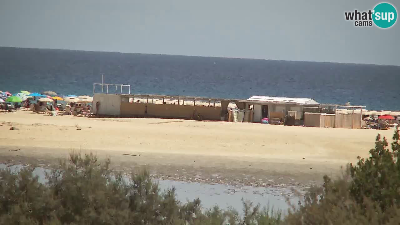 Webcam Chia – Live View of Su Giudeu Beach