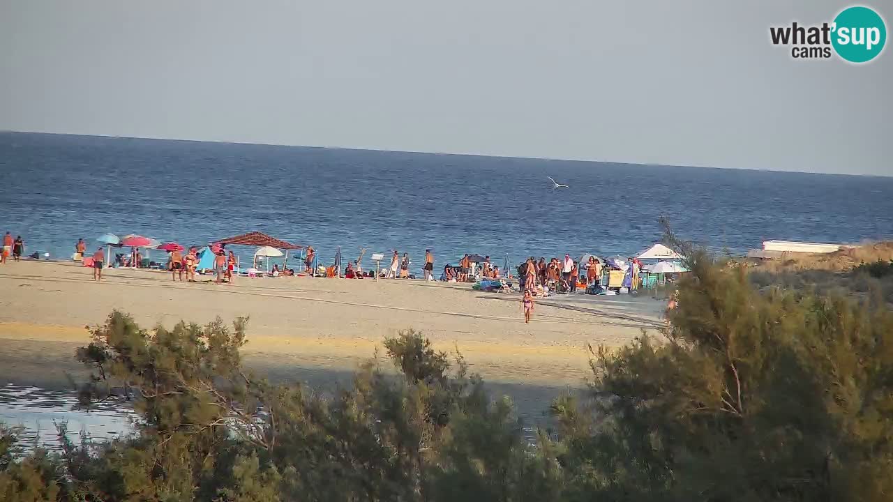 Webcam Chia – Vue en direct de la plage Su Giudeu