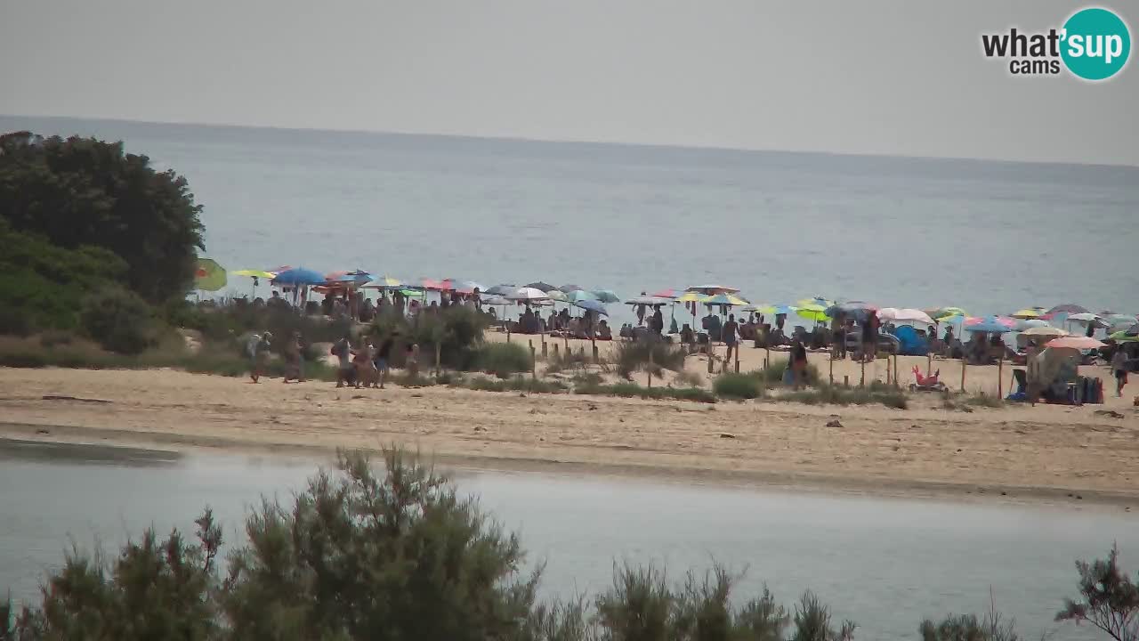 Webcam Chia – Vista en directo de la playa Su Giudeu