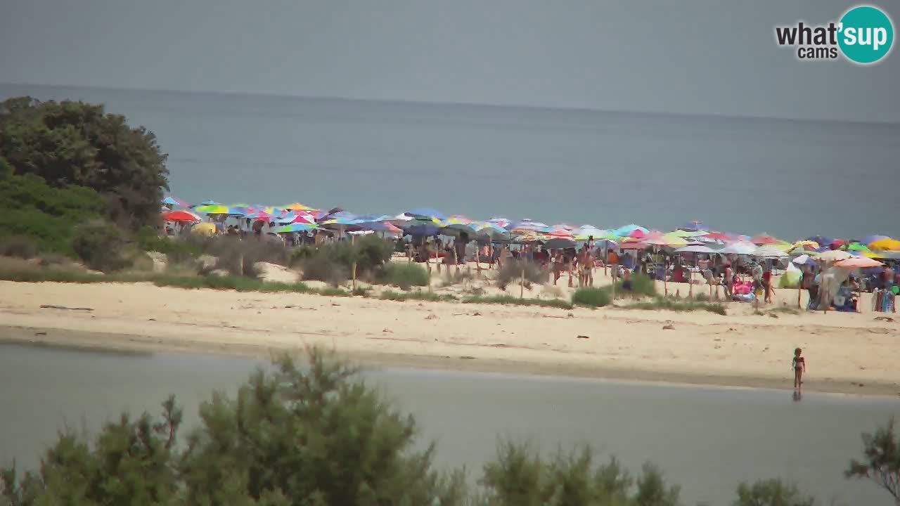 Webcam Chia – Liveblick auf den Strand Su Giudeu