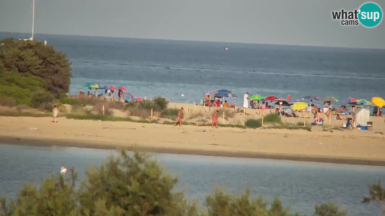 Webcam Chia – Vue en direct de la plage Su Giudeu