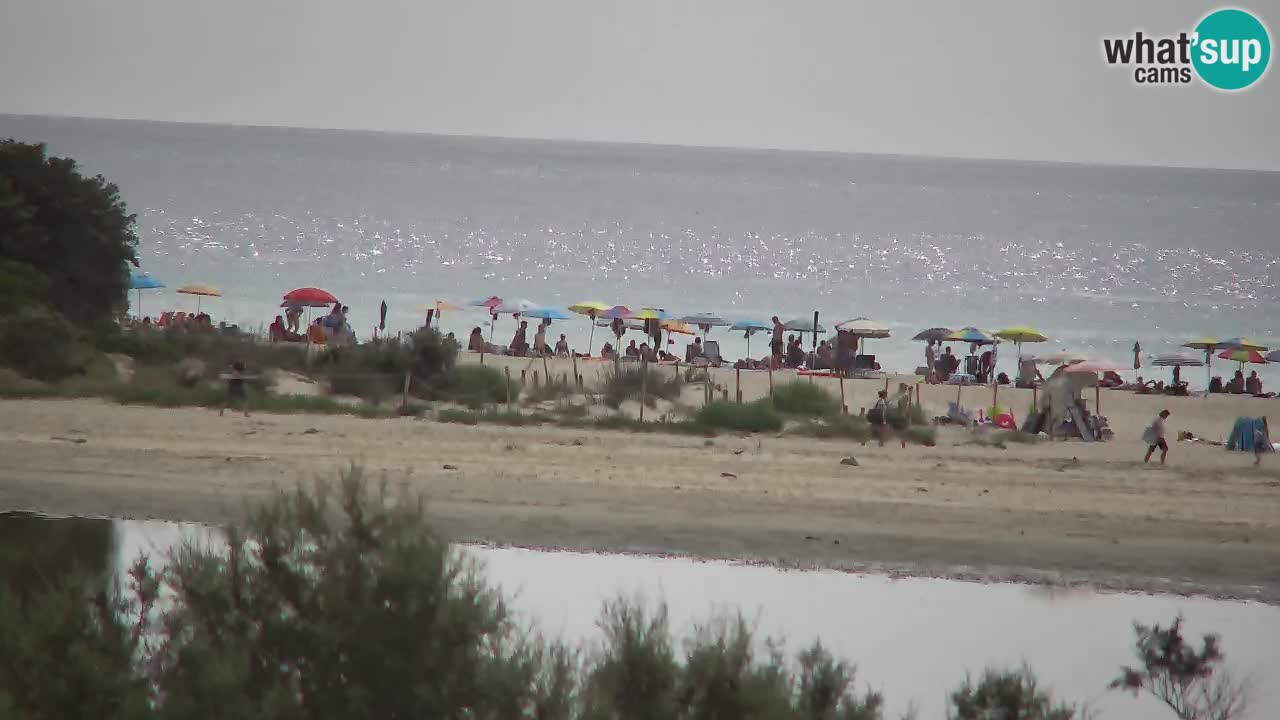 Webcam Chia – Spiaggia Su Giudeu in diretta