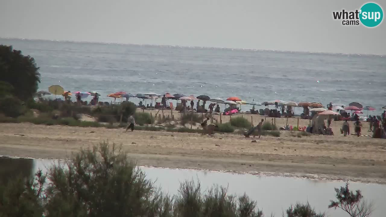 Web kamera Chia – Pogled uživo na plažu Su Giudeu