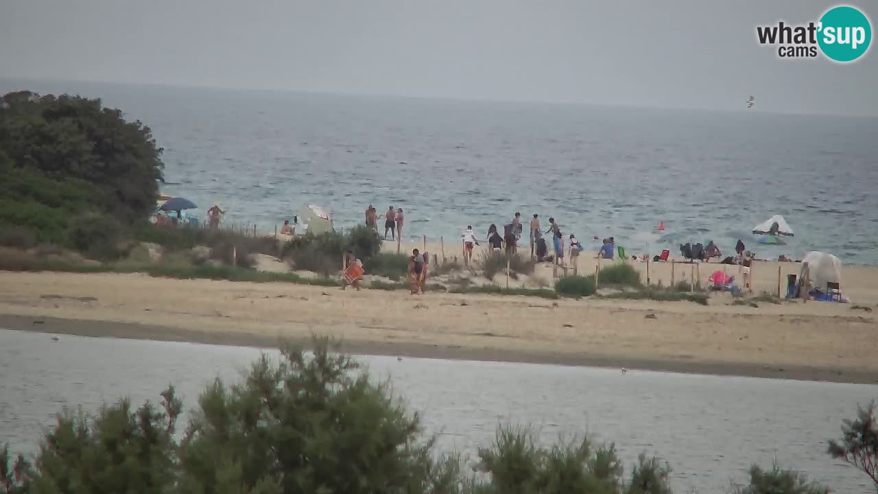 Webcam Chia – Live View of Su Giudeu Beach