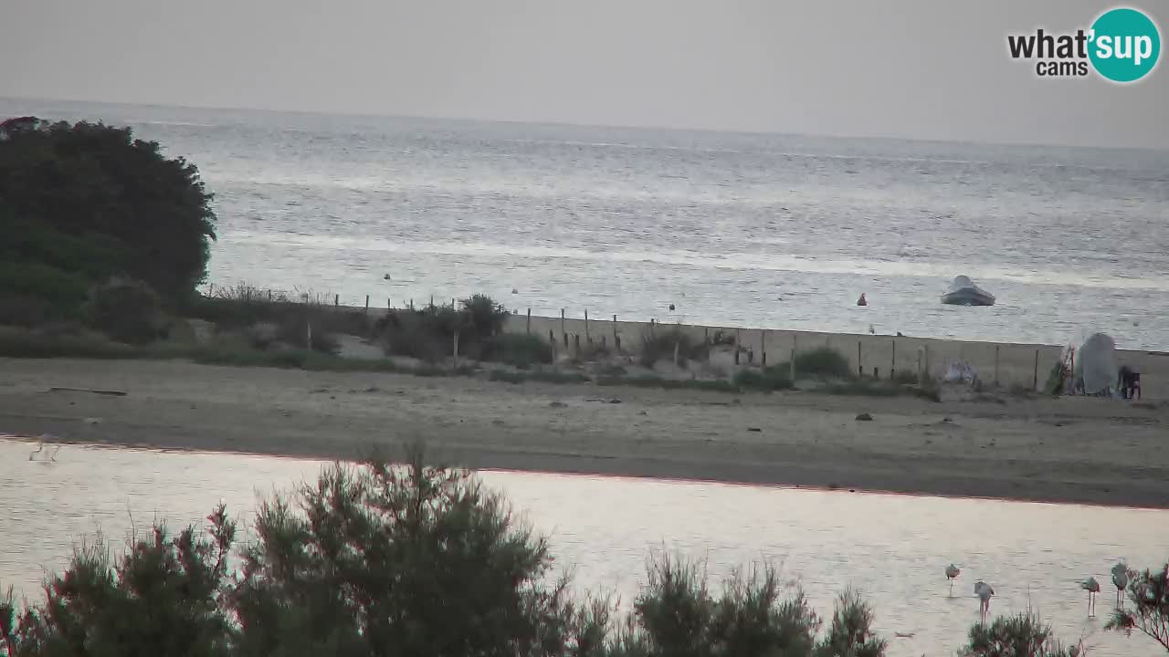 Webcam Chia – Vista en directo de la playa Su Giudeu