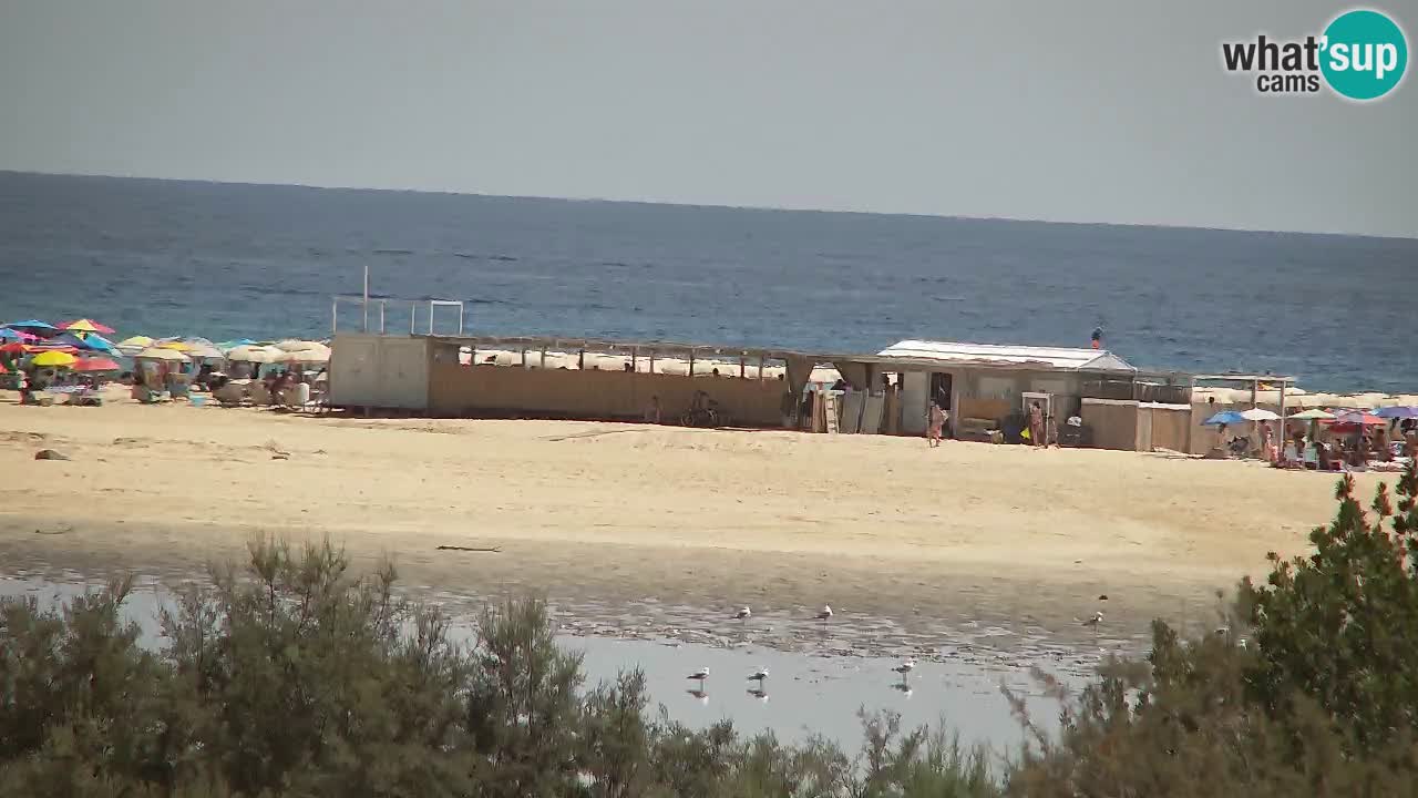 Webcam Chia – Live View of Su Giudeu Beach