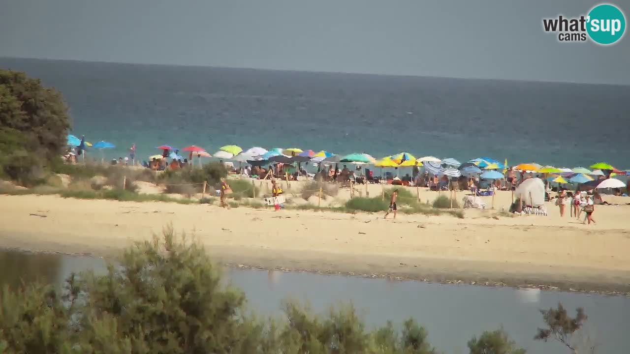 Webcam Chia – Live View of Su Giudeu Beach
