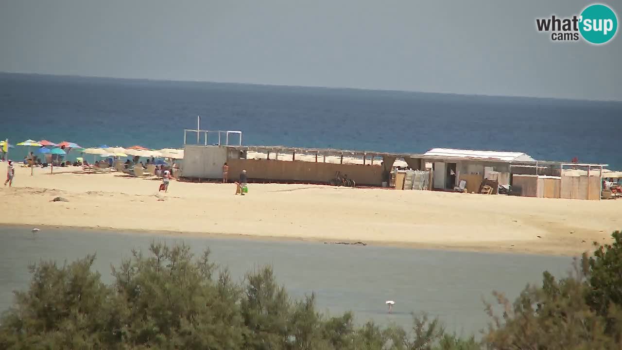 Spletna kamera Chia – Pogled v živo na plažo Su Giudeu