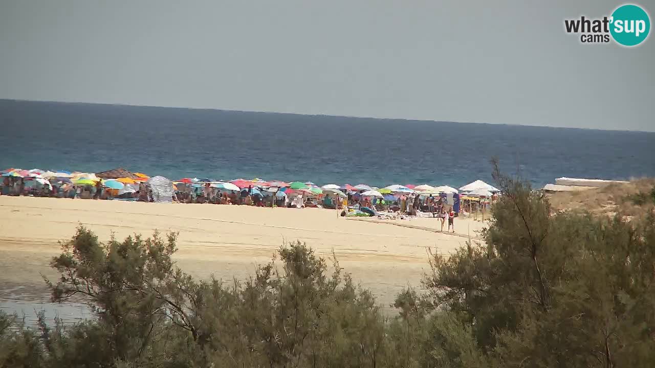 Webcam Chia – Live View of Su Giudeu Beach