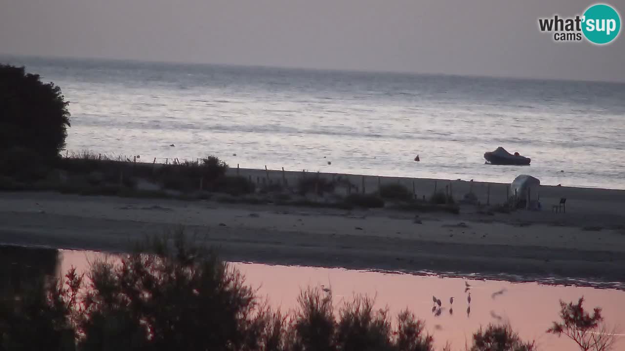 Webcam Chia – Live View of Su Giudeu Beach