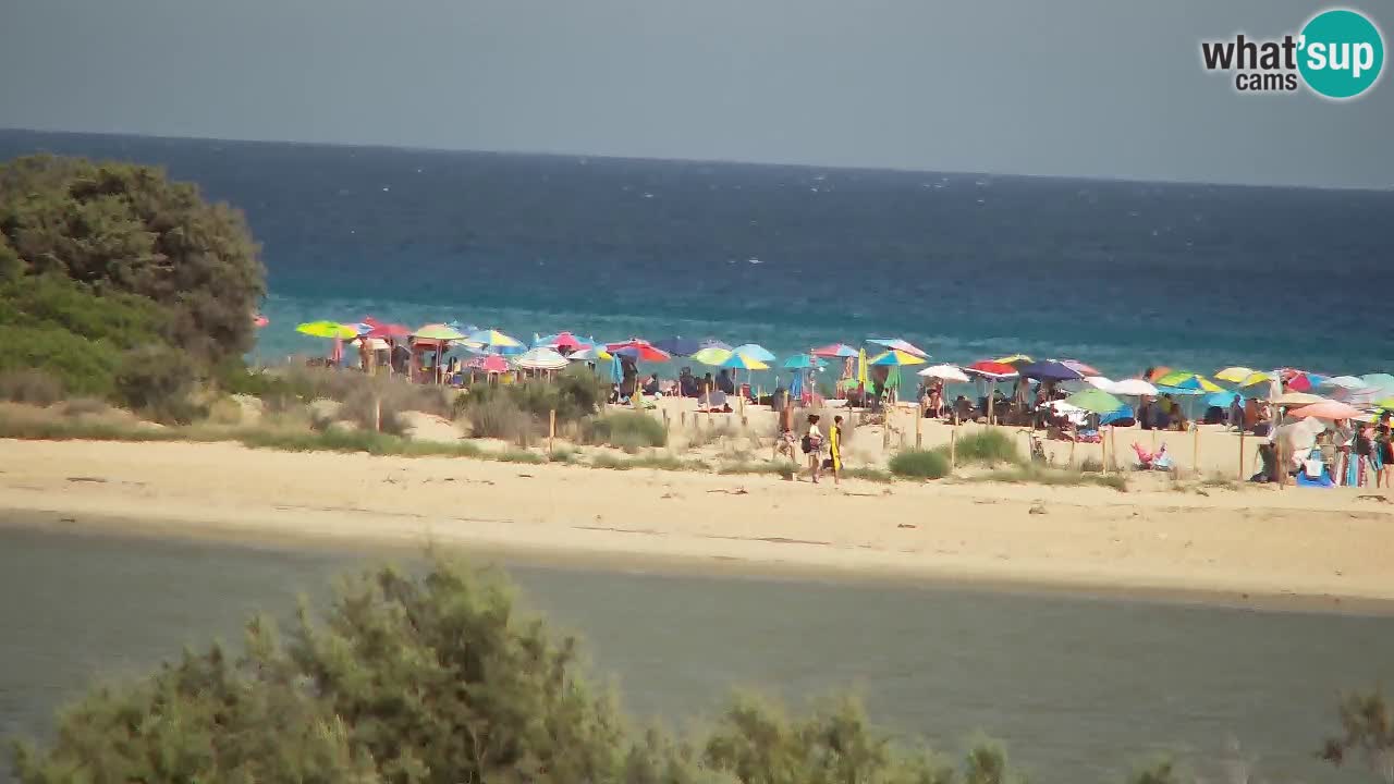 Webcam Chia – Live View of Su Giudeu Beach
