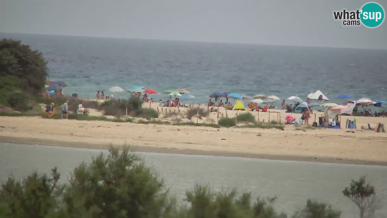 Spletna kamera Chia – Pogled v živo na plažo Su Giudeu