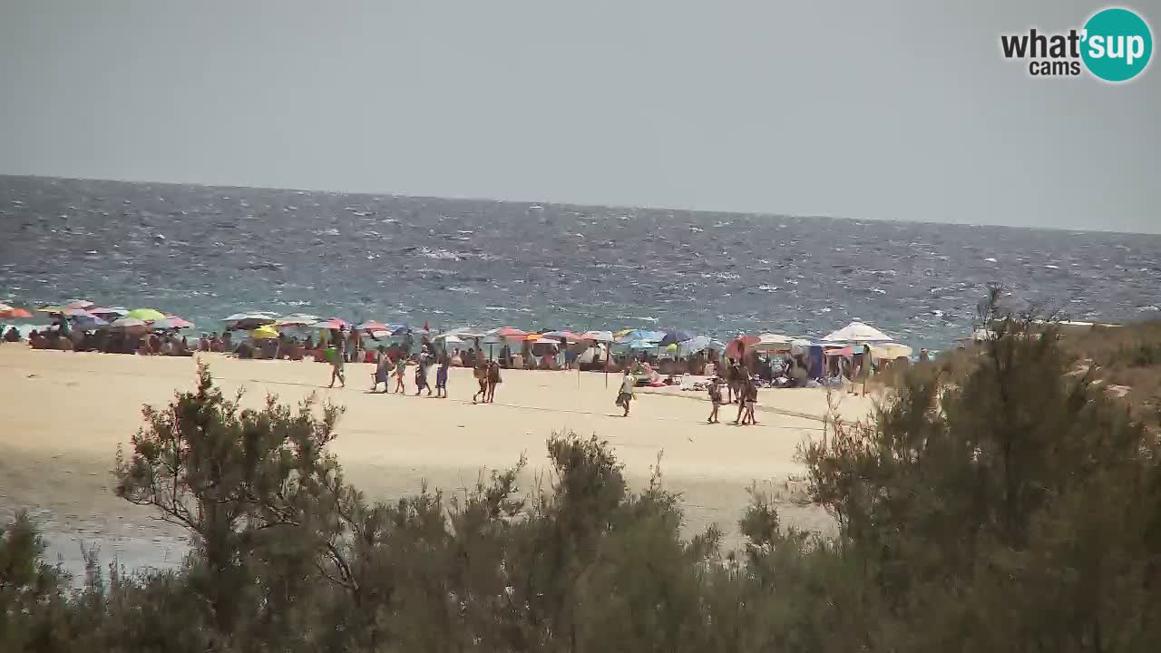 Web kamera Chia – Pogled uživo na plažu Su Giudeu
