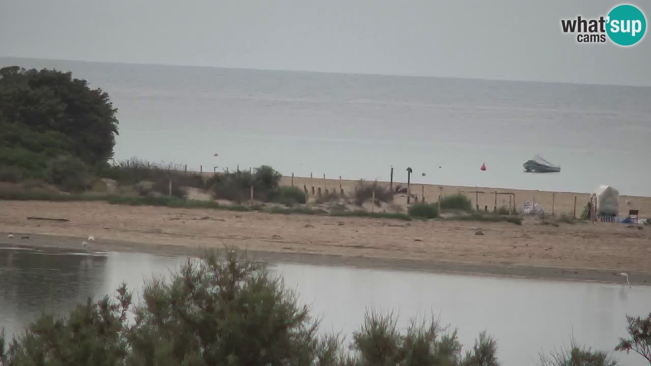Webcam Chia – Vista en directo de la playa Su Giudeu