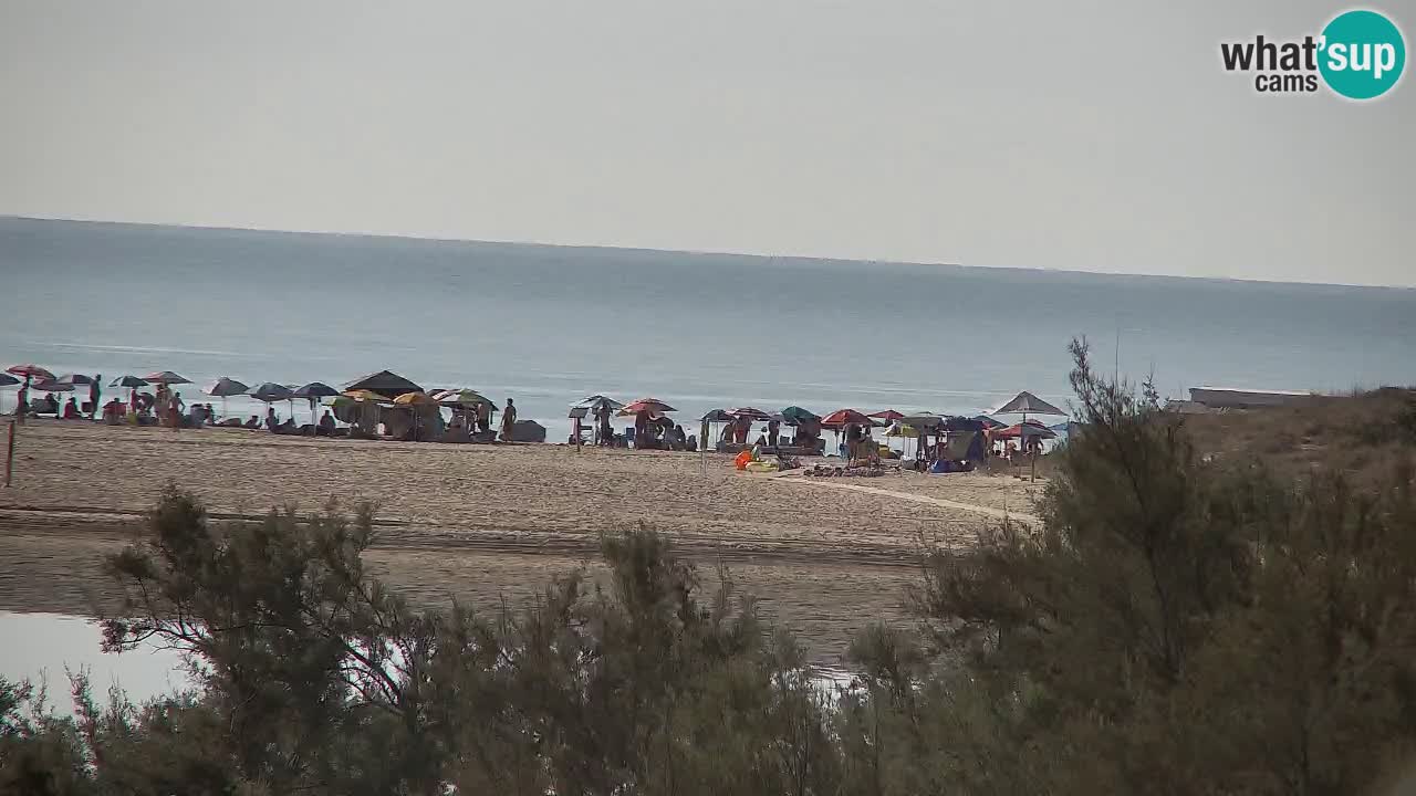 Webcam Chia – Live View of Su Giudeu Beach