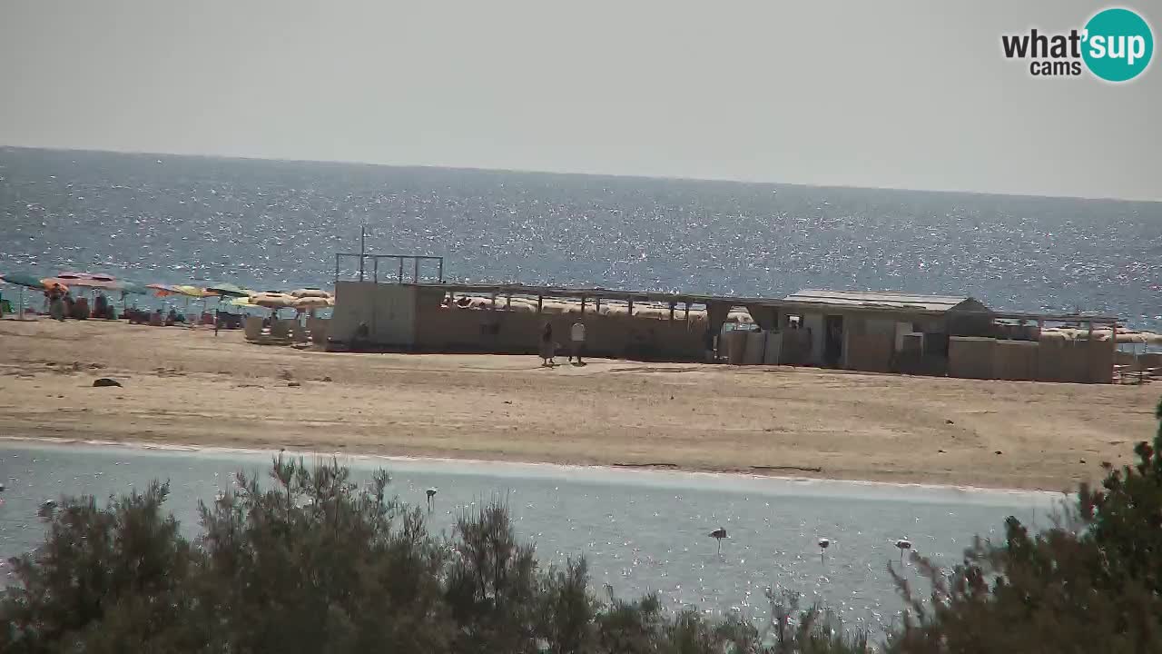 Webcam Chia – Live View of Su Giudeu Beach