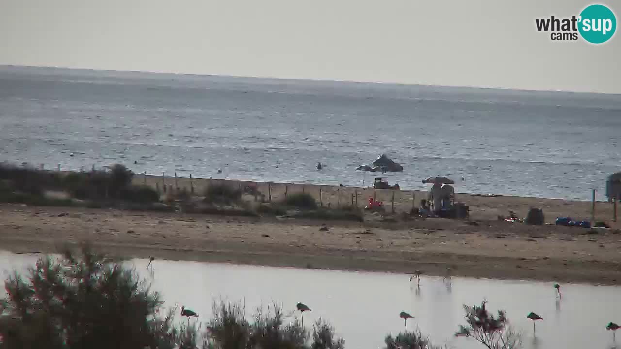 Webcam Chia – Spiaggia Su Giudeu in diretta