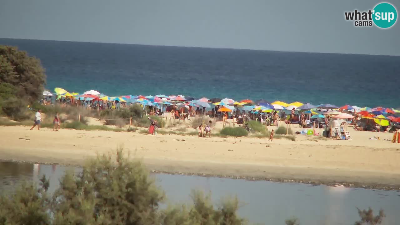 Webcam Chia – Vue en direct de la plage Su Giudeu
