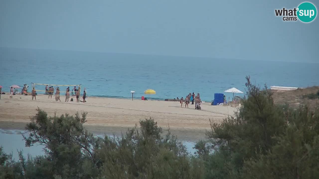 Webcam Chia – Vue en direct de la plage Su Giudeu