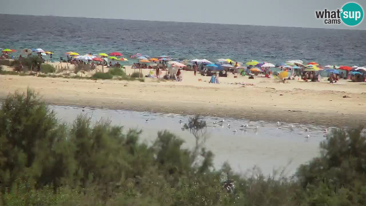 Webcam Chia – Spiaggia Su Giudeu in diretta