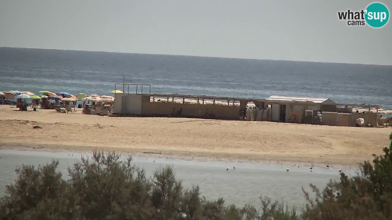 Webcam Chia – Vue en direct de la plage Su Giudeu
