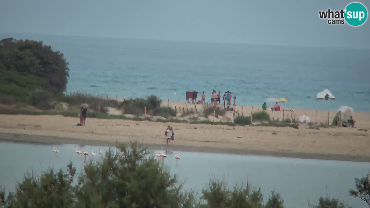 Webcam Chia – Liveblick auf den Strand Su Giudeu