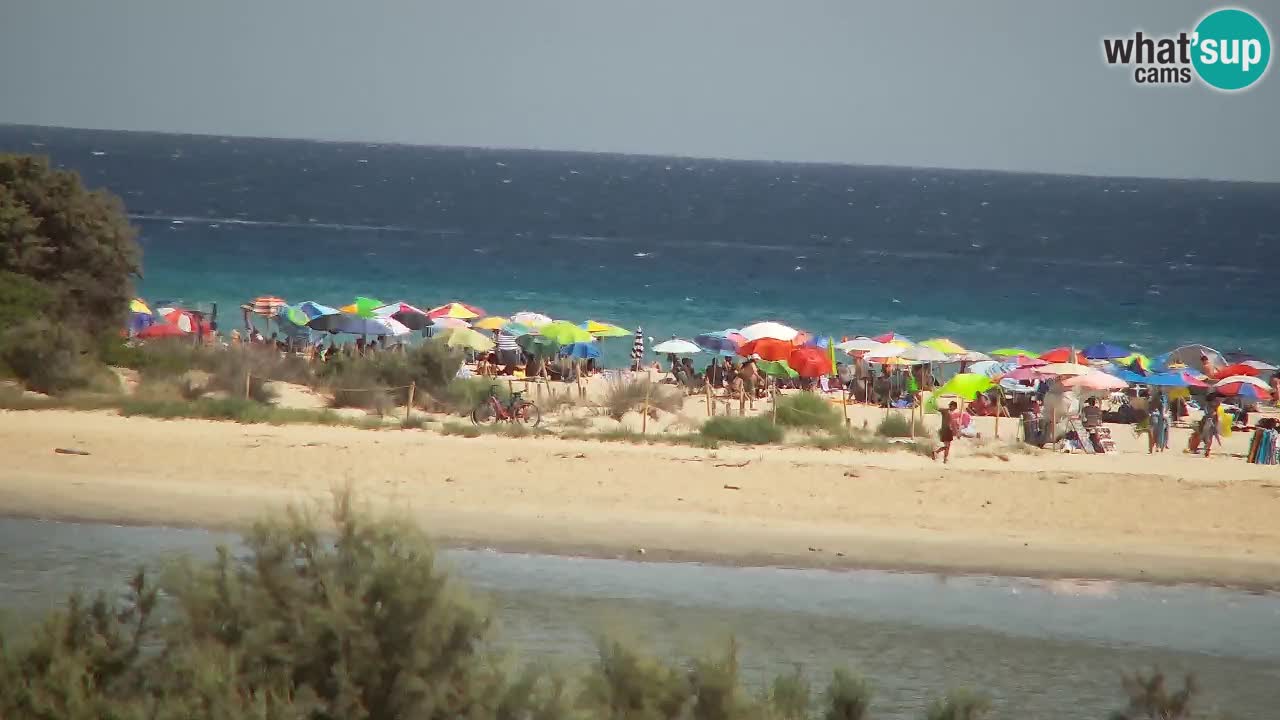 Webcam Chia – Live View of Su Giudeu Beach