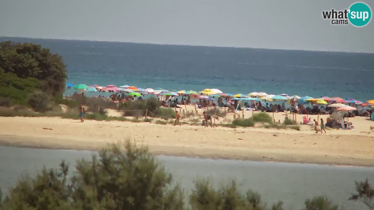 Webcam Chia – Vista en directo de la playa Su Giudeu