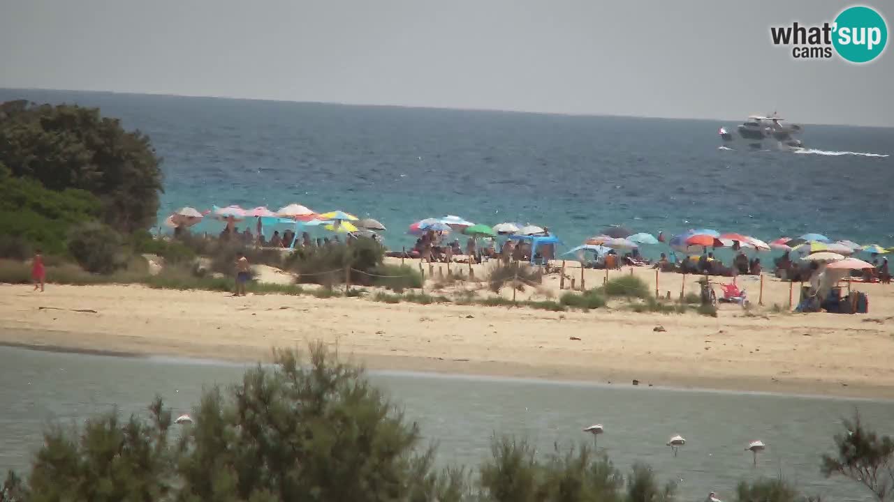 Web kamera Chia – Pogled uživo na plažu Su Giudeu
